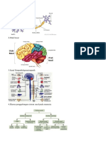 1 Neuron