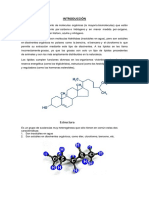 LIPIDOS