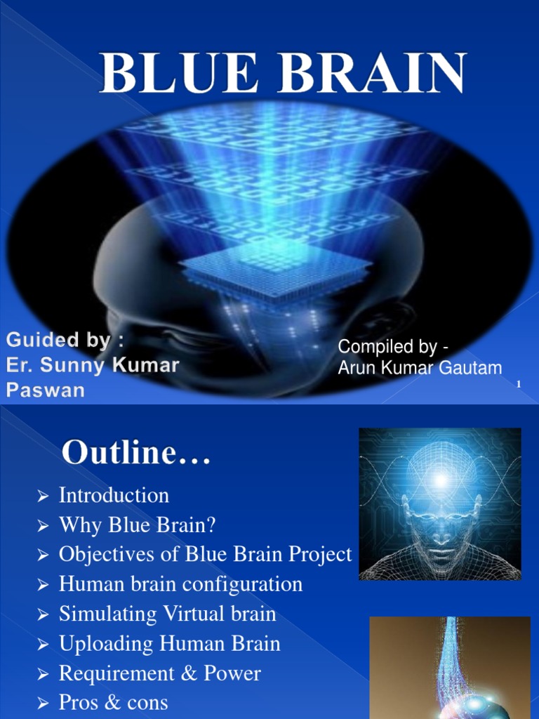 Understanding the Blue Brain Project | PDF | Brain | Memory