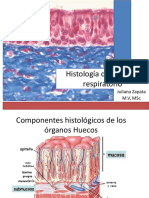 Histologadelsistemarespiratorio 140406191210 Phpapp01