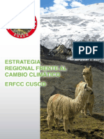 plan de mitigacion y adopcion al cambio climatico cusco.pdf