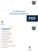 11 Principios Neuropedagógicos