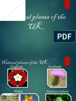 Uk National Plants