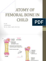 Anatomy of Femoral Bone in Child