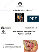 Clase 6, Anatomia y Fisiologia Del Piso Pelvico Clase 