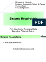 Sistema respiratório: estruturas e funções