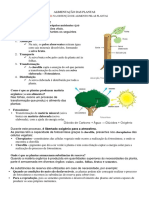 Alimentação Das Plantas