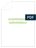 Angiospermas y Gimnospermas