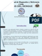 Enfermedades Febriles: Dengue