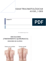 PATOLOGIAS TRAUMATOLÓGICAS AUGE - GES.pdf