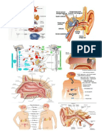 Biolog I