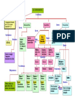 Los carbohidratos: clasificación, funciones y fuentes principales