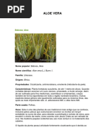 ALOE VERA.docx