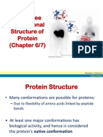 3 Proteins(2)