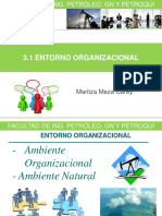 3 1 Entorno Organizacional 17