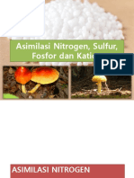 Asimilasi Nitrogen, Sulfur, Fosfor Dan Kation-3