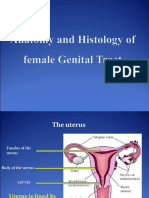 2 - Anatomy and Histology of Female Genital Tract