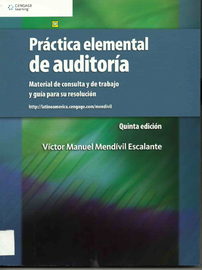 Libro de Auditoria