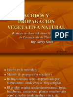 PP.ACODOS.PP.VV.NN.pdf