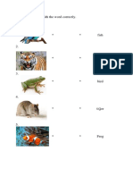 Match The Picture With The Word Correctly