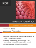 Membrana Celular 8° 