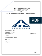 ITC Foods Project Report on Successful Turnaround