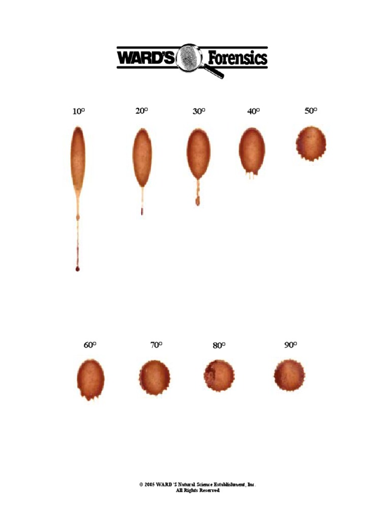 Color Blood Spatter Images | PDF