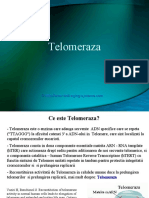 53689631-telomeraza.pdf