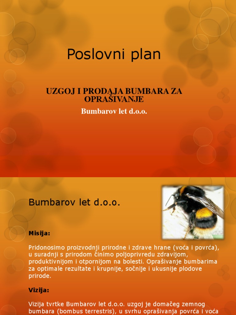Poslovni Plan | PDF