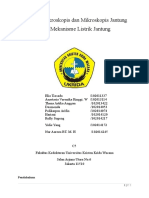 Struktur Makroskopis Dan Mikroskopis Jantung Serta Mekanisme Listrik Jantung