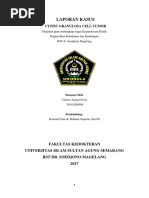 Download Kasus Kista Padat Ovarium by Fierly Damayanti Sumarlin SN362024601 doc pdf