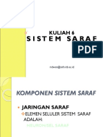 Anfiswan - K 6 - Sistem Saraf