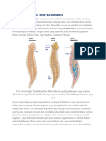 Cara Reproduksi Platyhelminthes