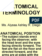 Anatomical Terminology: Ms. Alyssa Ashley R. Diego