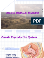 12 Genitalia Feminina
