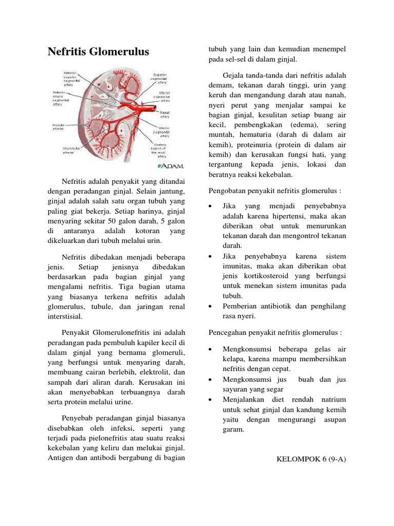 Nefritis Glomerulus