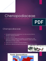 Chenopodiaceae