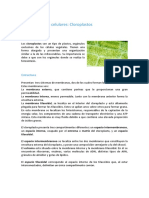 cloroplastos.pdf