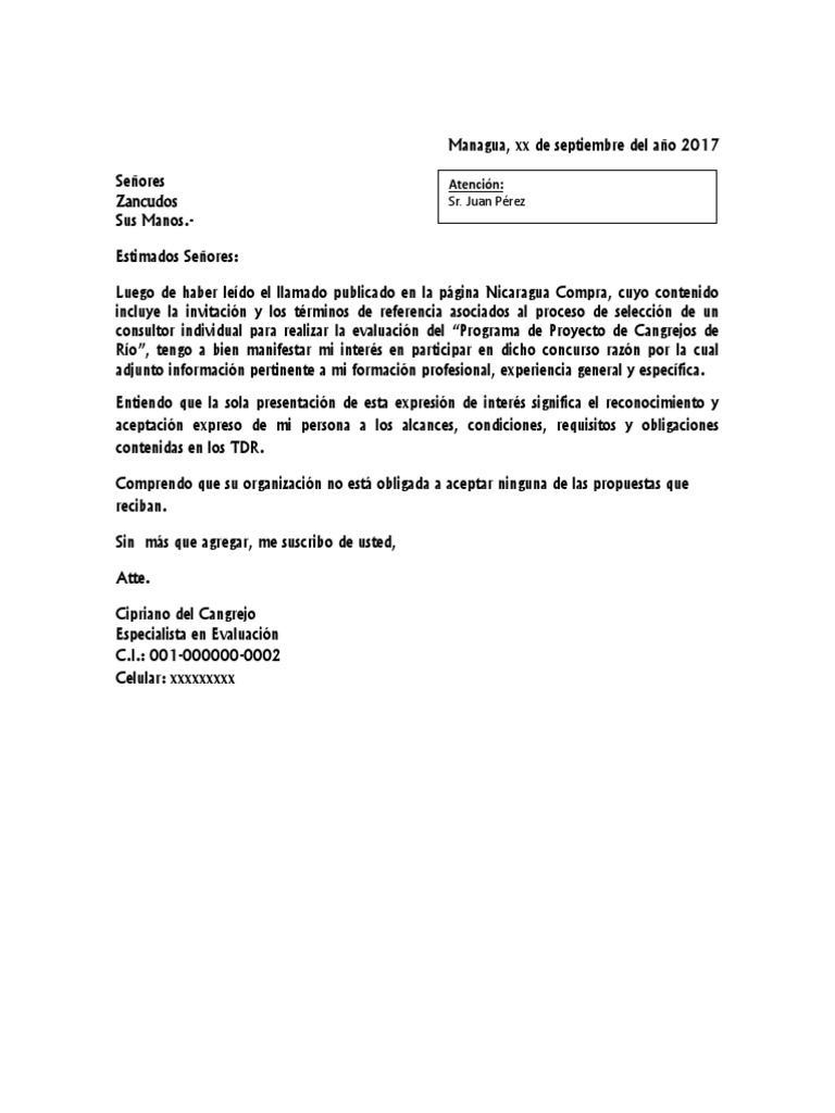 Formato de Carta de Expresion de Interes  Science  Ciencia y Tecnología