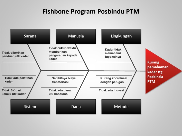 Analisis Program Fishbone Posbindu PTM | PDF