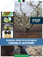 Manual Practico Riego Ciruelo Japones PDF