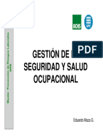 Gestión de La Salud y Seguridad Ocupacional.