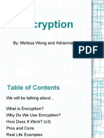 encryptionpresentationfinal-120118083040-phpapp01.pdf