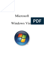Windows Vista Basico