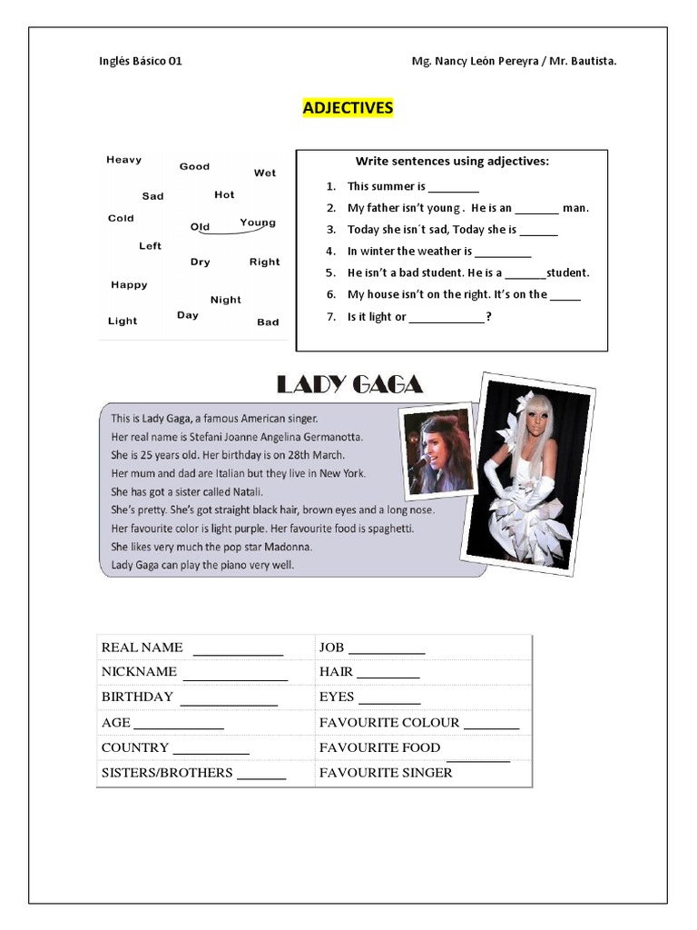 Basic English Adjectives Practice | PDF