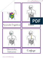 aparato-digestivo-letra-ligada.pdf