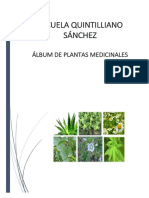 Album Plantas Medicinales