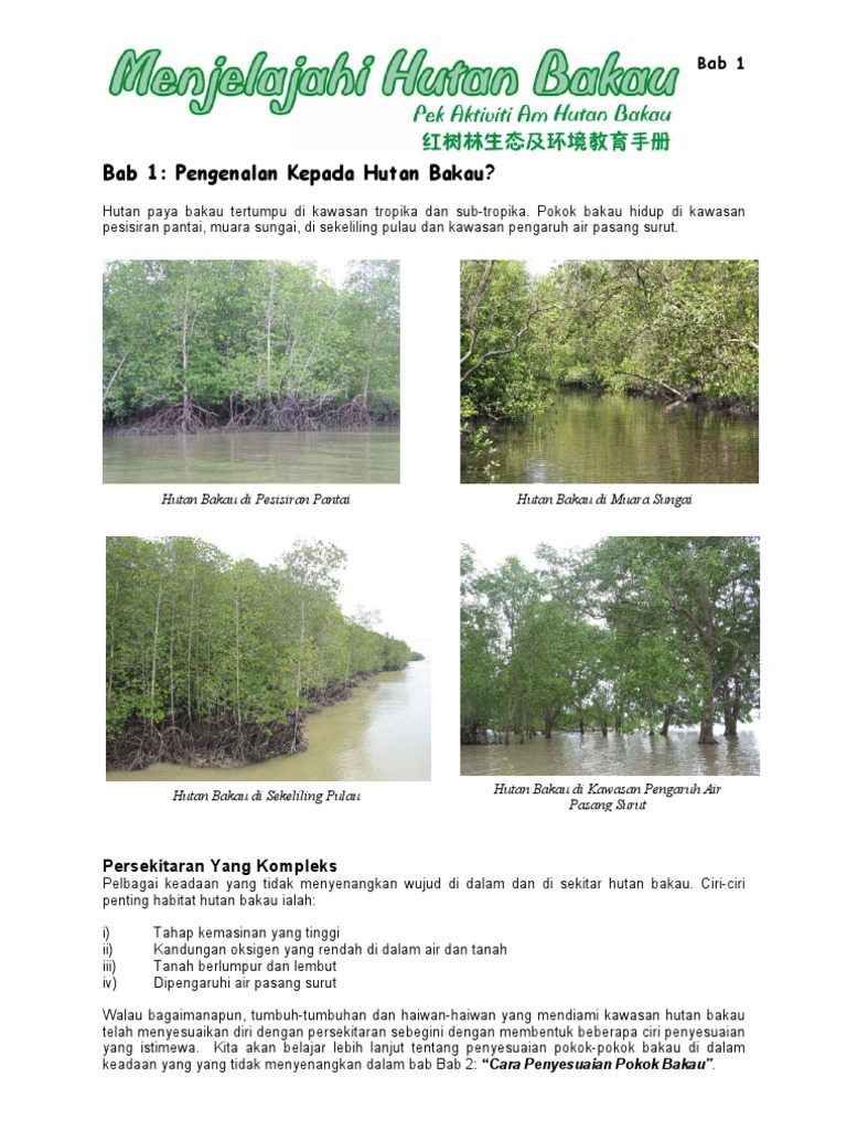 Teachingm B Malaysia Pdf