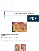 Soal-Soal Ospe Asdos