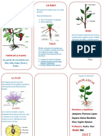 TRIPTICO de Las Plantas